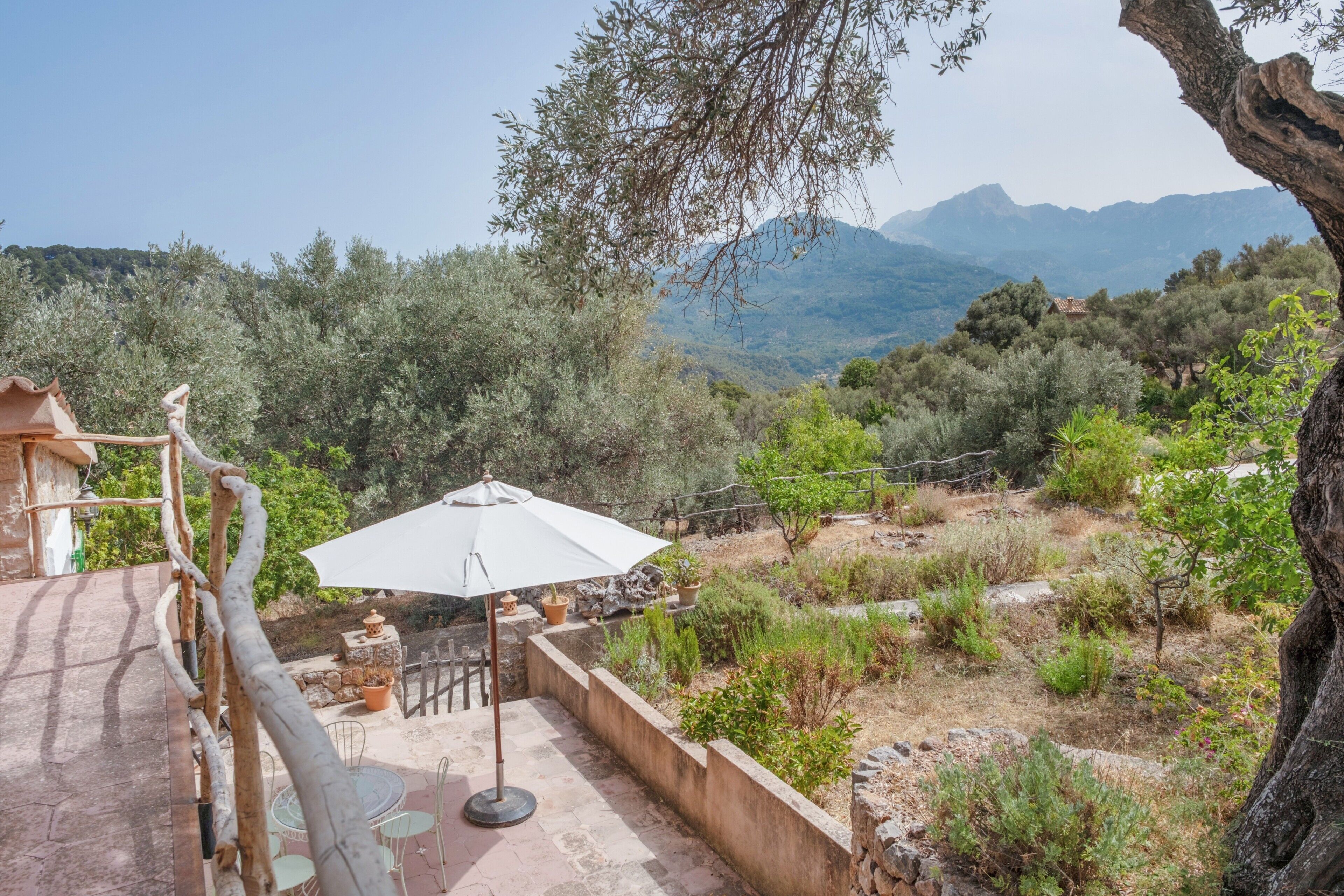 Une terrasse extérieure avec une table et des chaises, entourée d’oliviers et offrant une vue sur les montagnes.
