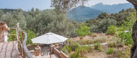 Une terrasse extérieure avec une table et des chaises, entourée d’oliviers et offrant une vue sur les montagnes.