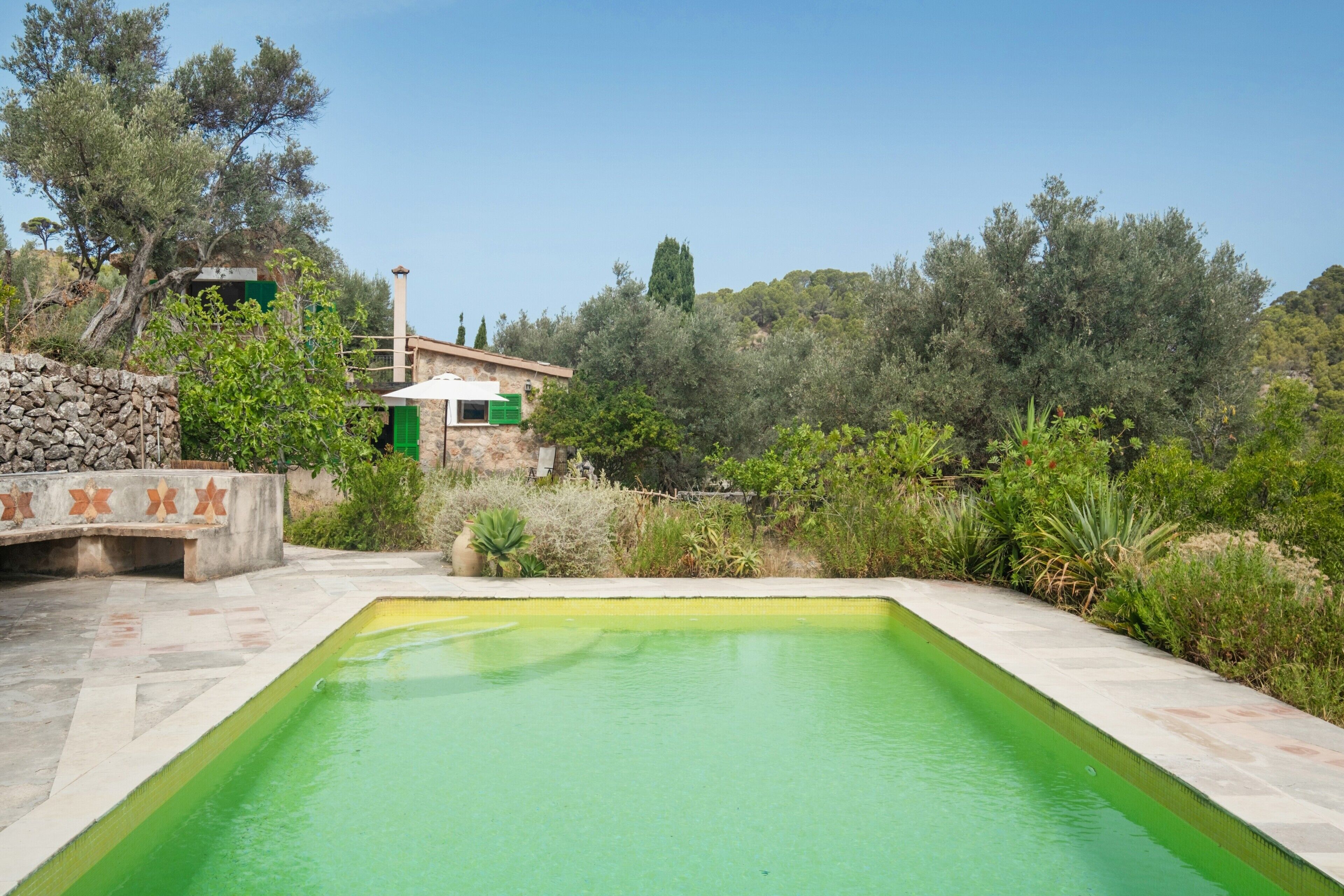 Une piscine rectangulaire bordée de pierres, entourée de verdure et d’un mur de pierres orné de carreaux décoratifs.