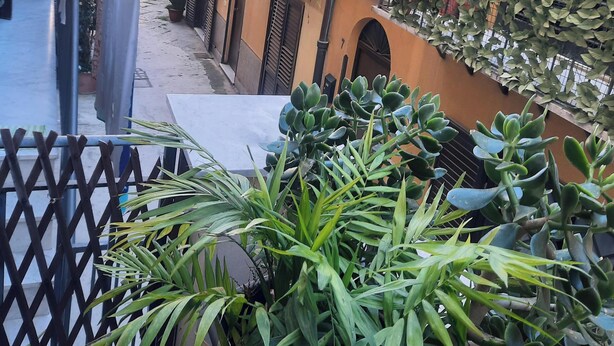Een smalle straat met gebouwen aan weerszijden, met balkons voorzien van plantenbakken en tuinmeubels.