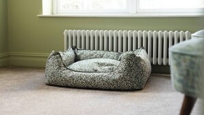 Un lettino per animali domestici in una stanza con termosifone, finestra e una sedia.