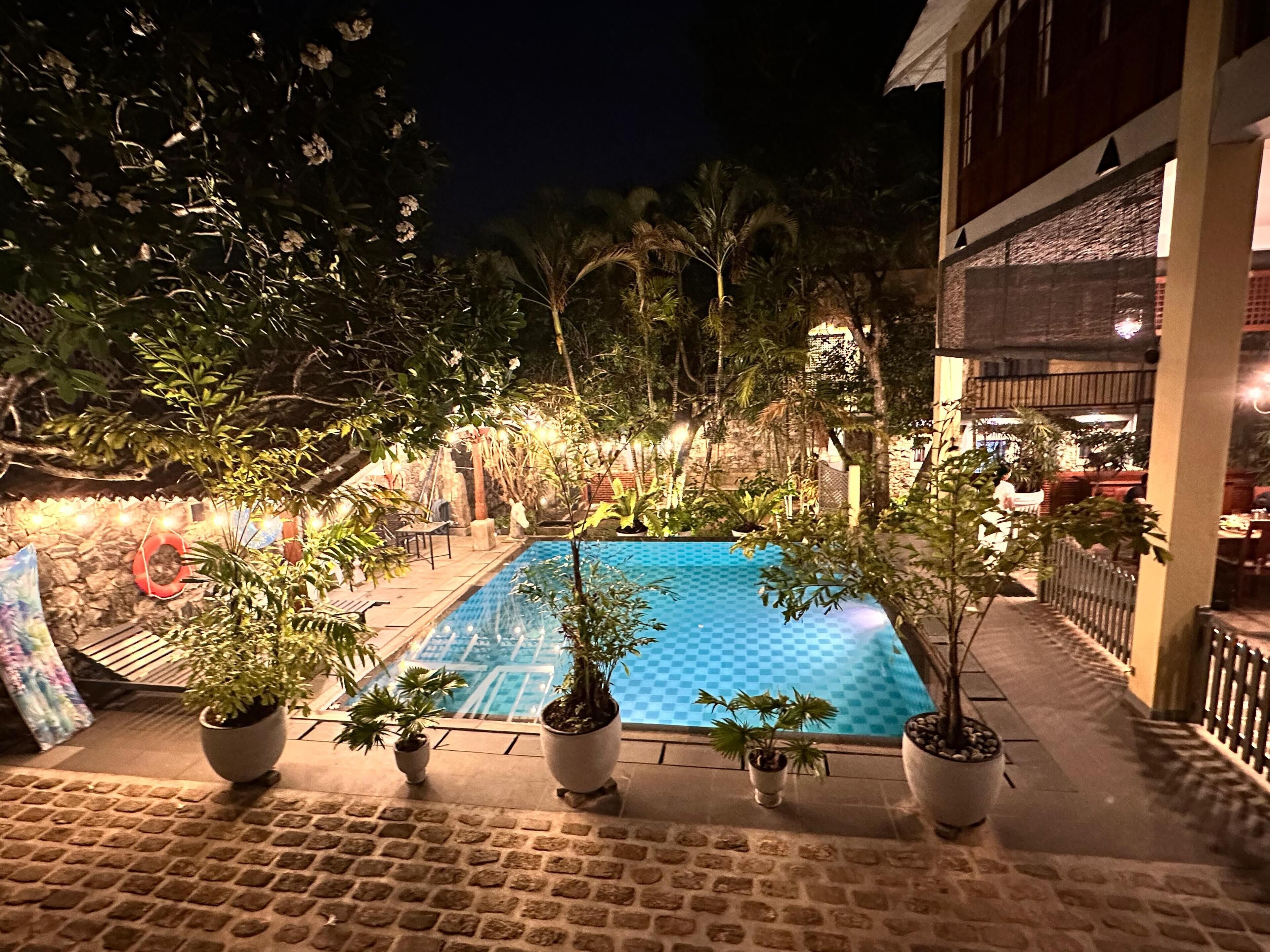 Una piscina exterior rodeada de macetas con plantas y un sendero de piedra.