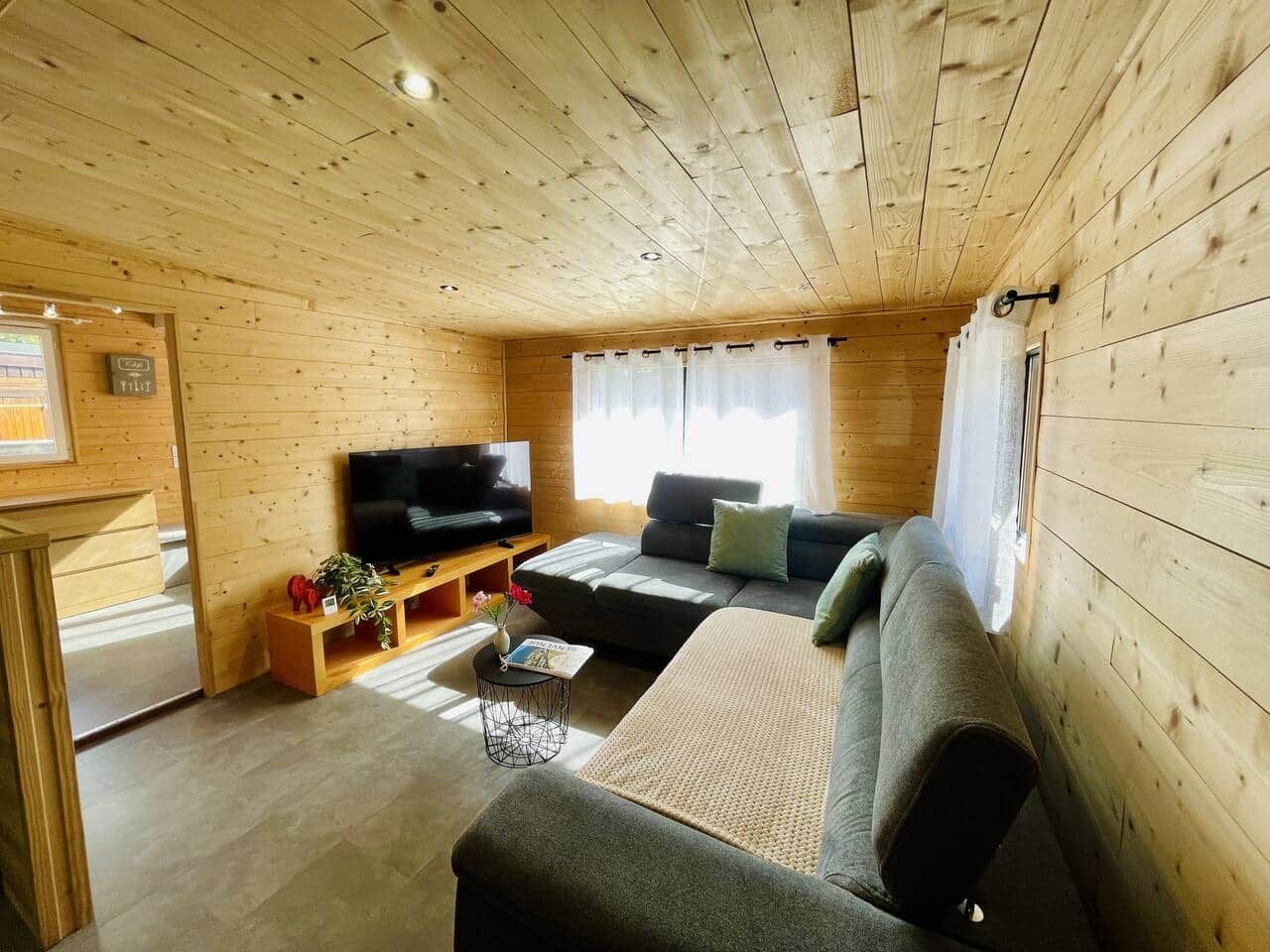 A wooden cabin interior with a sofa, television, and a small table with a plant.