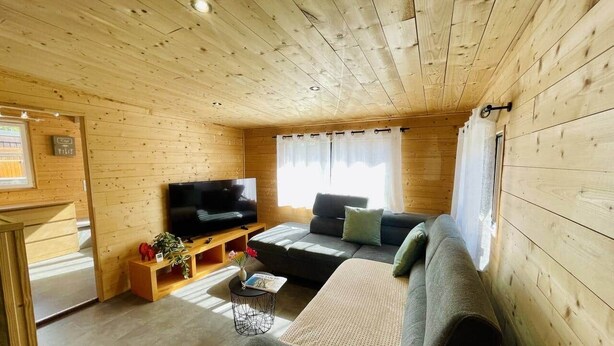 A wooden cabin interior with a sofa, television, and a small table with a plant. - Le Nid des Cimes - Cottage for 6 people - Aussois (Aussois)
