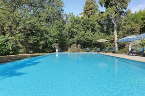 A clear blue swimming pool surrounded by lush greenery and shaded by tall trees. - Domaine Le Trabet - Gîte Laurier (Moussoulens)