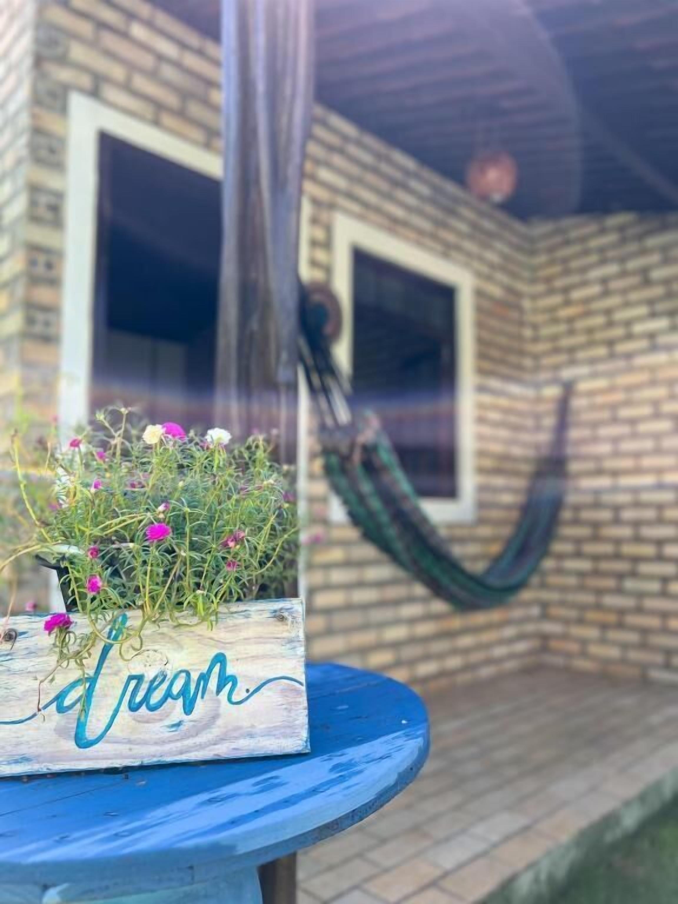 Un jardinier en bois avec des fleurs, posé sur une table bleue, devant un mur de briques et une fenêtre.