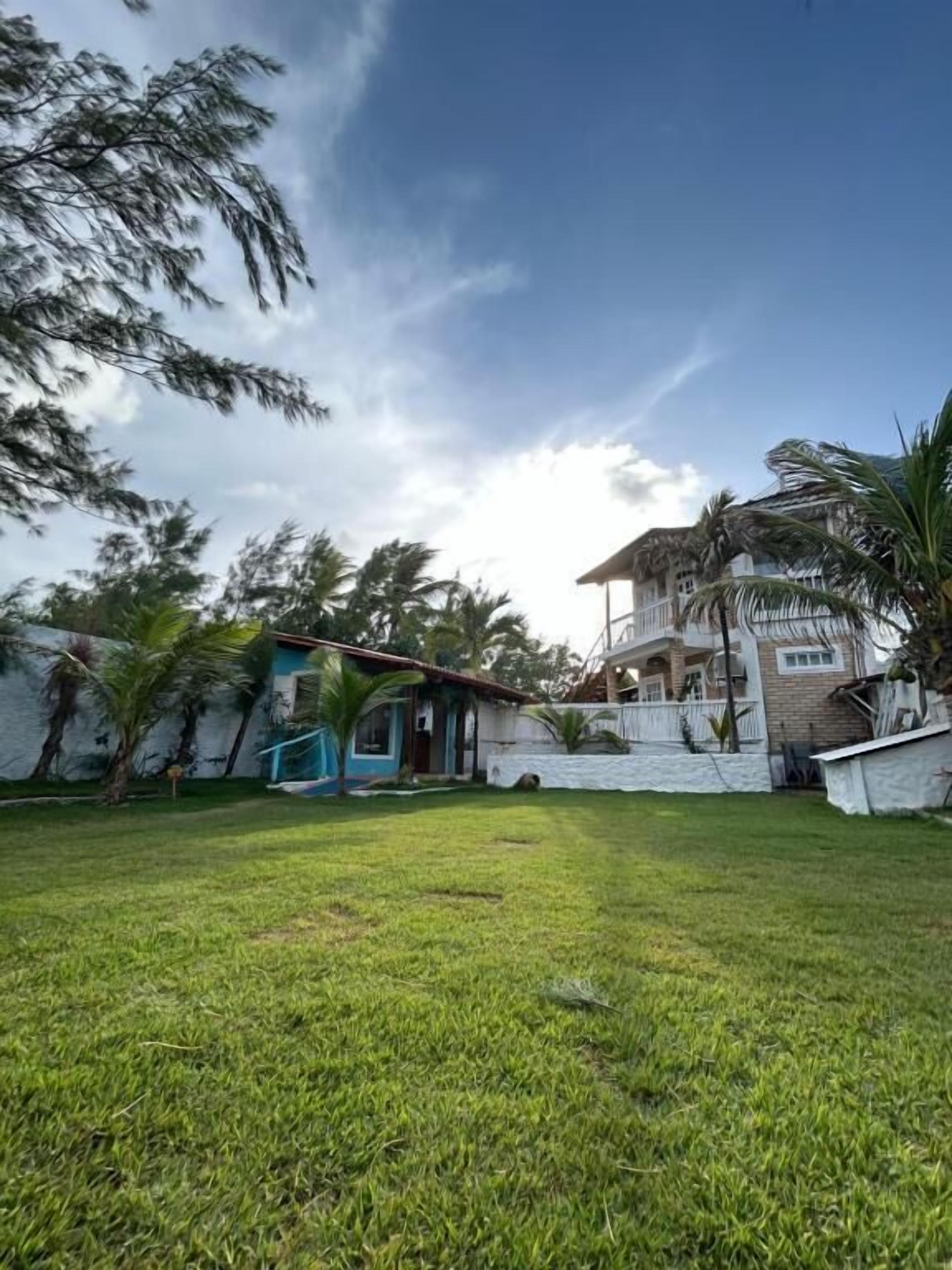 A grassy yard with a house, a small shed, and a palm tree.