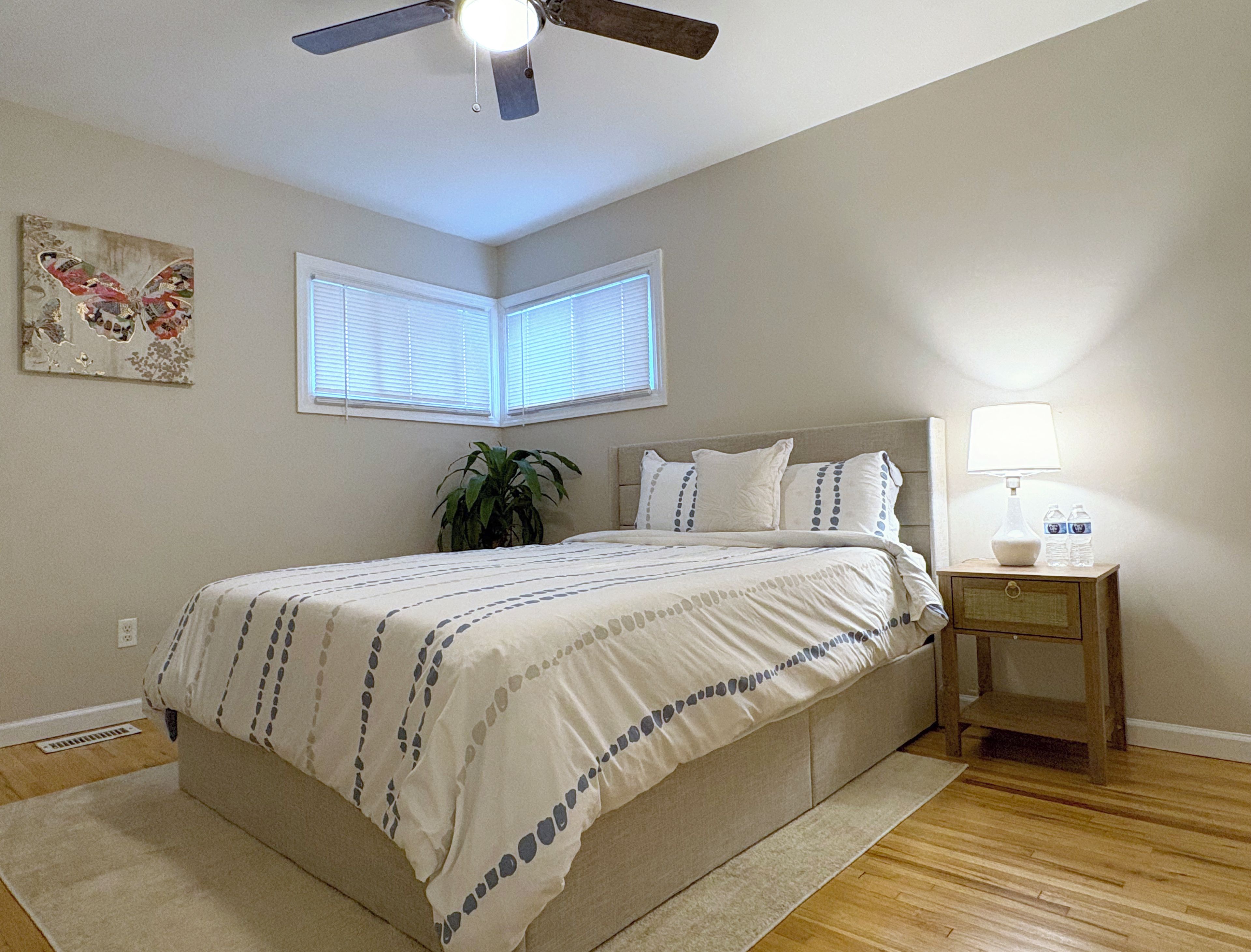 A bedroom with a bed, a nightstand, a lamp, a ceiling fan, a window, and a plant.