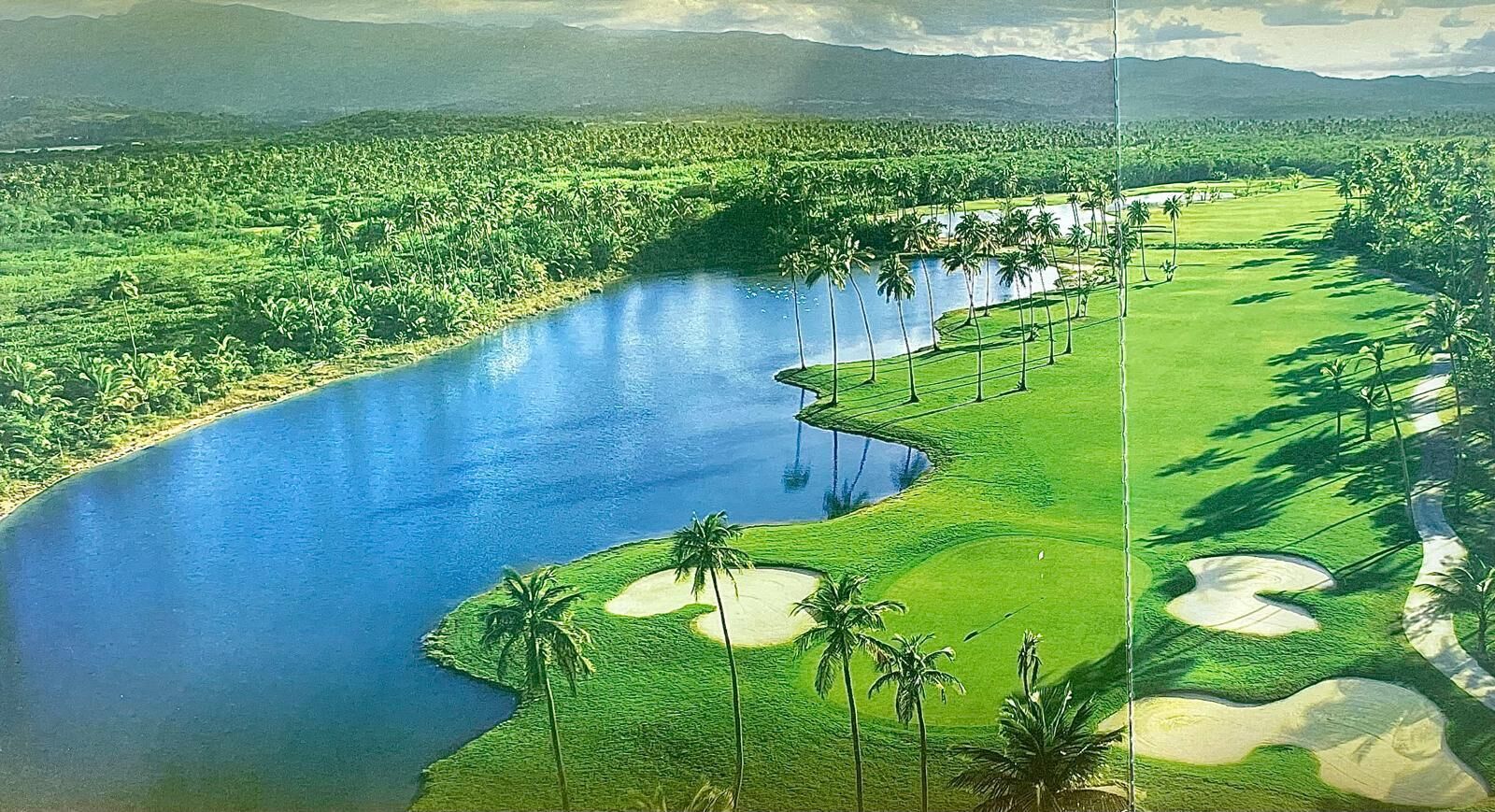 Campo de golf con un cuerpo de agua, palmeras y búnkeres de arena.