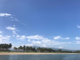 Una playa con palmeras y cielo despejado.