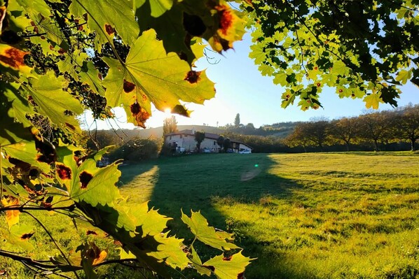 A rural landscape with a house in the distance, surrounded by green fields and trees.