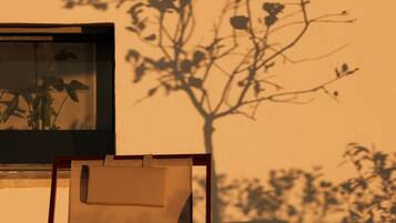 A room with a window, a chair, and a wall with a shadow of a tree.
