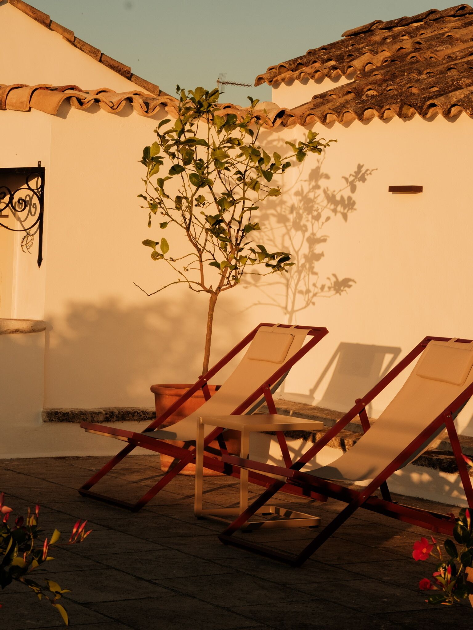 Un patio con dos sillones de descanso, un árbol pequeño y un techo de tejas.