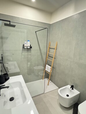 Shower, hair dryer, bidet, towels