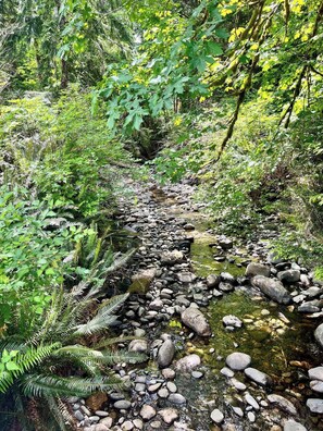 Miscellaneous - Located on 160acres of Nature in Welcoming Shirley. Unwind at Cozy Bear Cabin (Shirley)