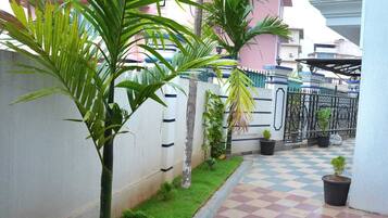 A checkered outdoor area with a white wall, a palm tree, and a metal gate.