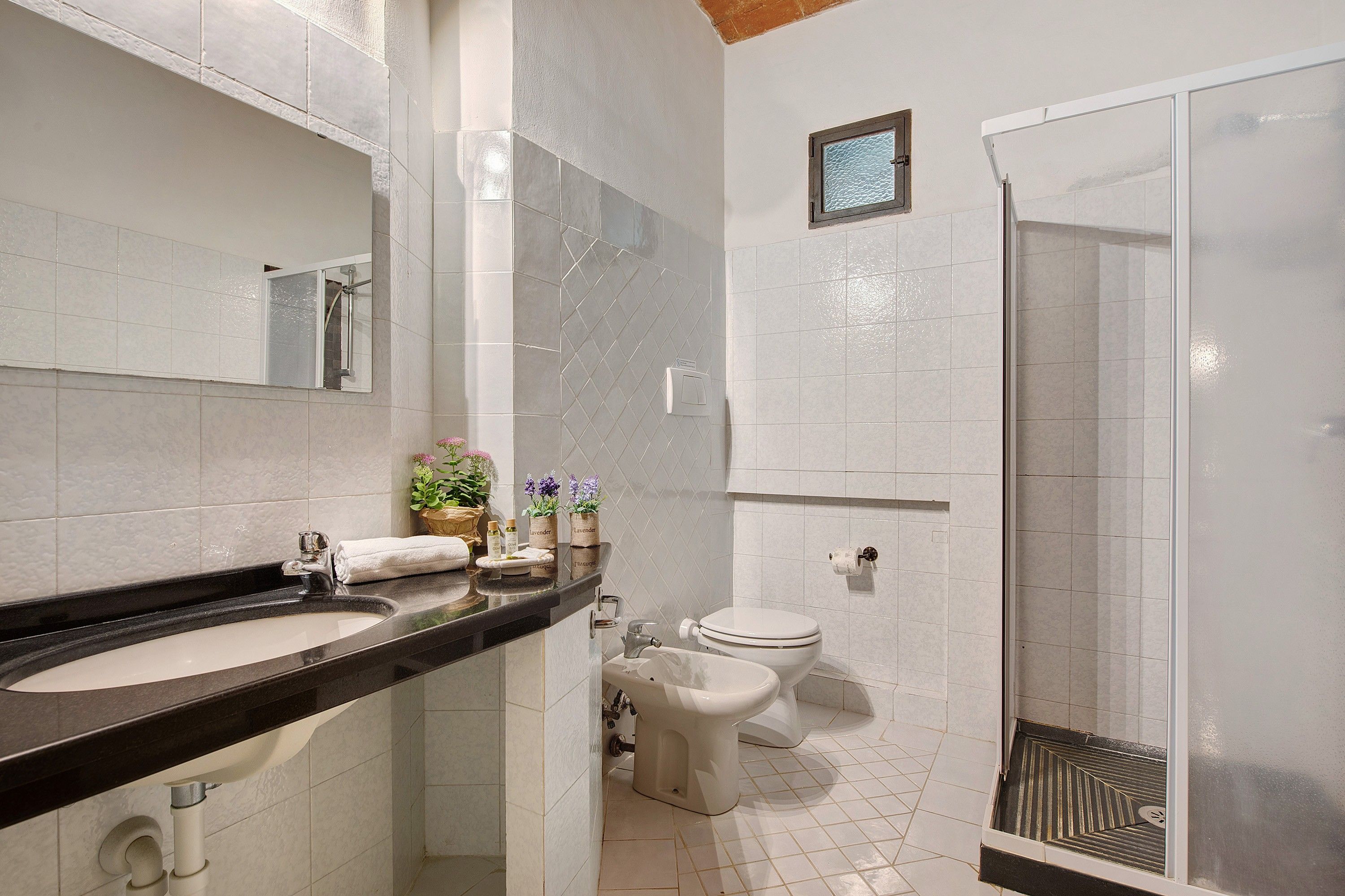 A bathroom with a black countertop sink, a white toilet, and a glass shower enclosure.