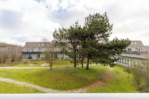 A residential area with a large tree in the center, surrounded by a grassy lawn and a pathway.