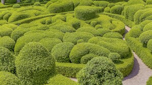 A meticulously landscaped garden with a variety of green hedges and trees.