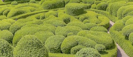 A meticulously landscaped garden with a variety of green hedges and trees.