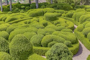 Ein sorgfältig angelegter Garten mit verschiedenen Grünhecken und Bäumen.