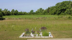 Een grasveld met een stenen muur en een rij paarse bloemen.