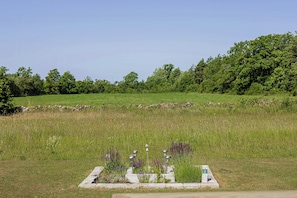 Ein grasbewachsenes Feld mit einer Steinmauer und einer Reihe lila Blumen.