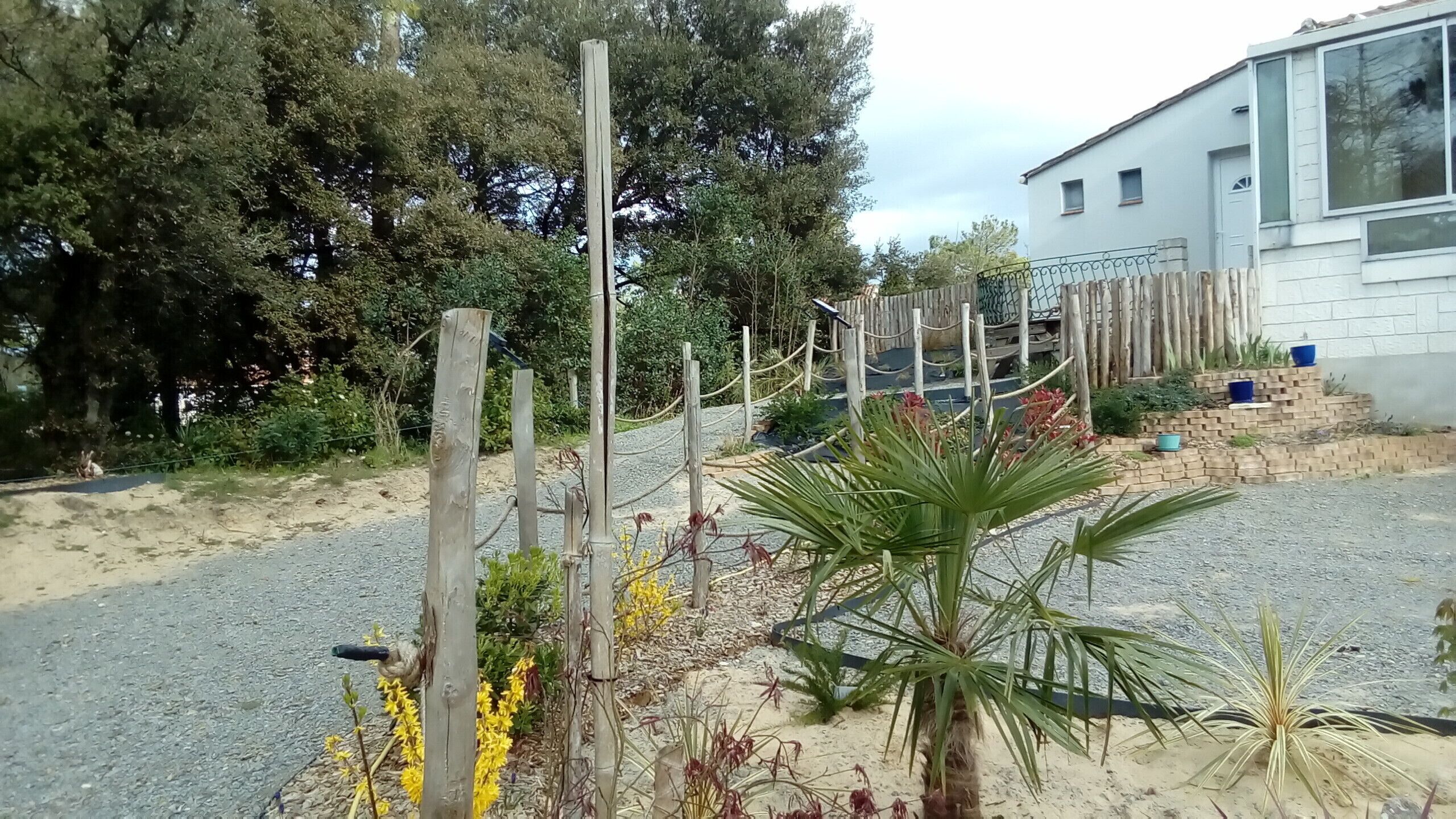 Un camino de grava que conduce a un edificio con una cerca de madera y diversas plantas.