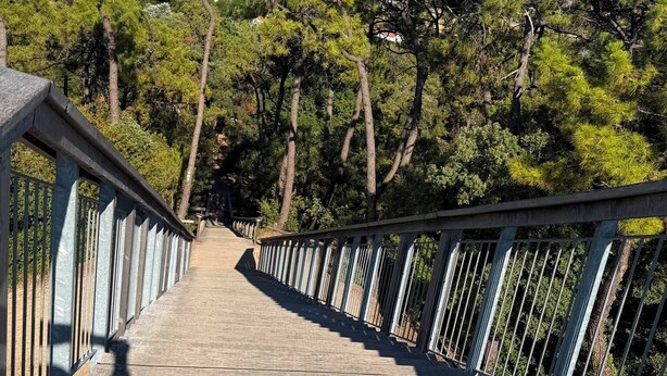 Eine Holzbrücke mit Metallgeländern, umgeben von Bäumen und einem klaren Himmel.