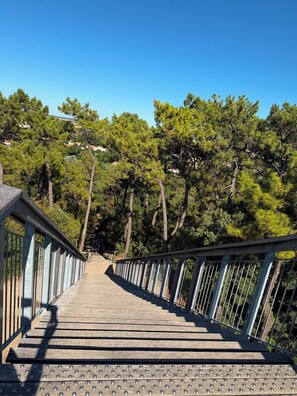 A wooden bridge with metal railings, surrounded by trees and a clear sky. - The Ocean Interlude (Saint-Jean-de-Monts)