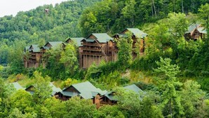 Un grupo de cabañas de madera encajadas en una ladera boscosa.