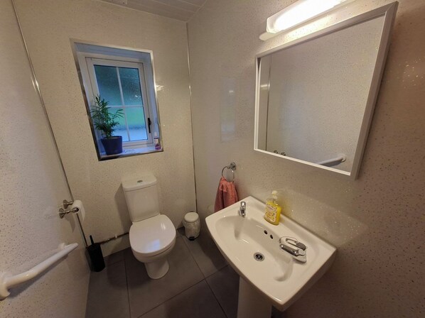 A bathroom with a toilet, sink, and window. - Dolcoed (Llandeilo)
