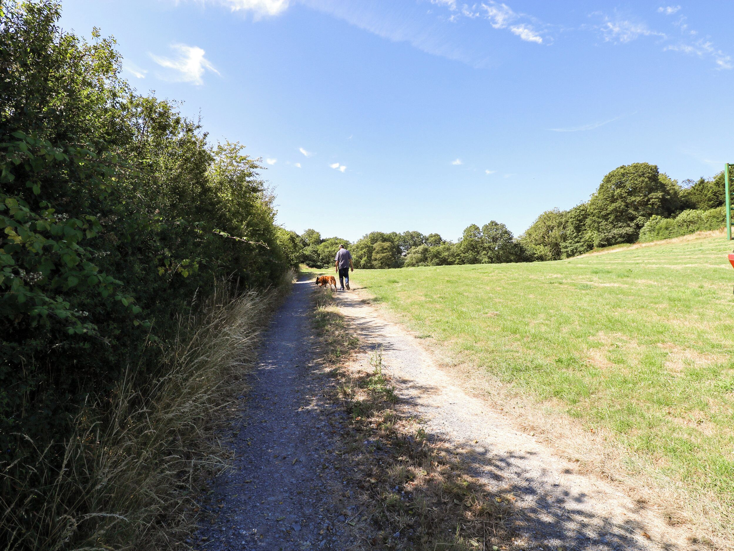 A rural path with a person and a dog, surrounded by greenery and trees.