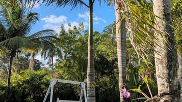 A garden with a swing set, palm trees, and a grassy area.