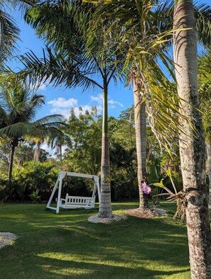 A garden with a swing set, palm trees, and a grassy area. - Cabaña Elian (Higüey)
