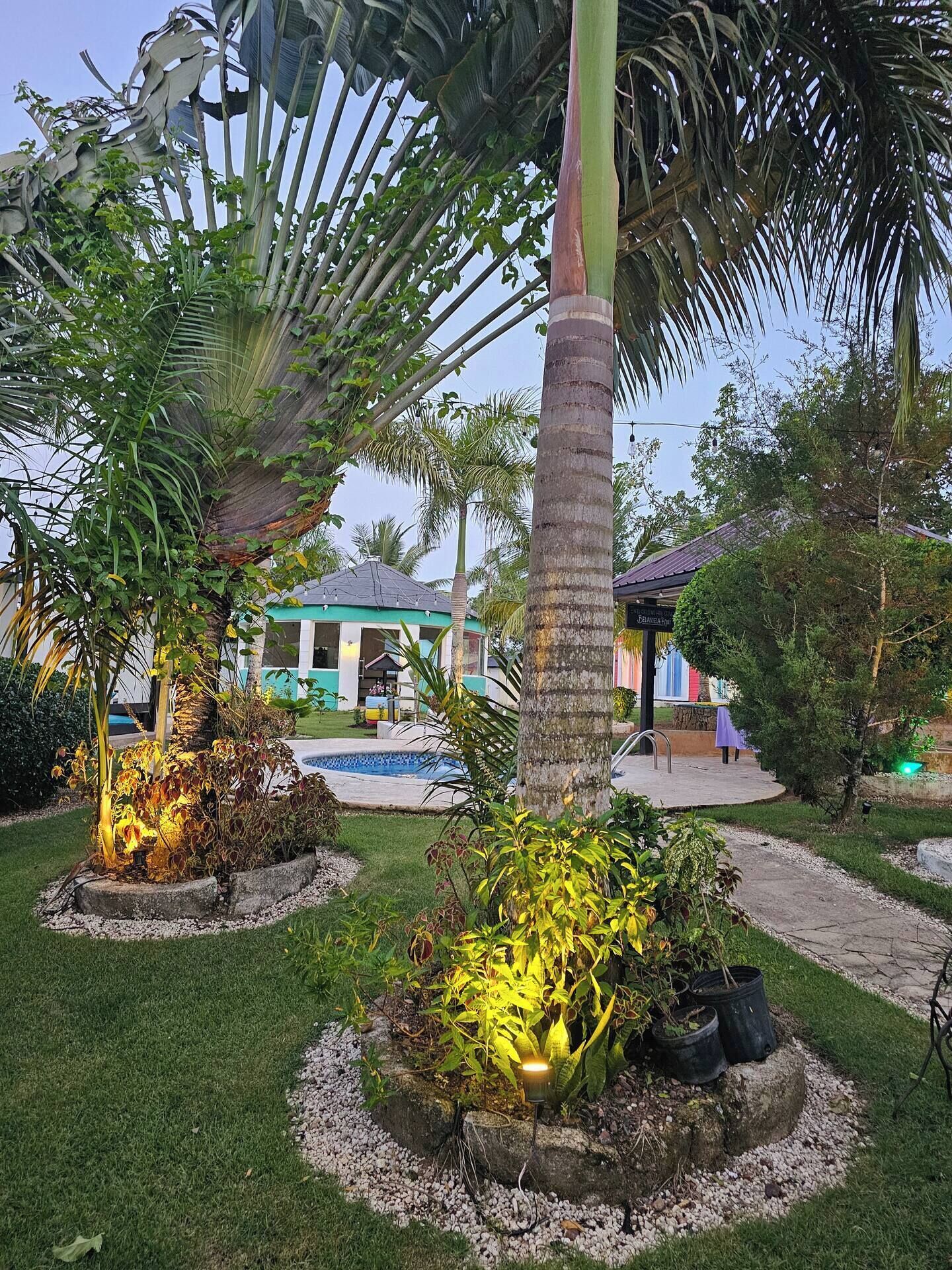 A garden with palm trees, a pool, and a building with a green roof.