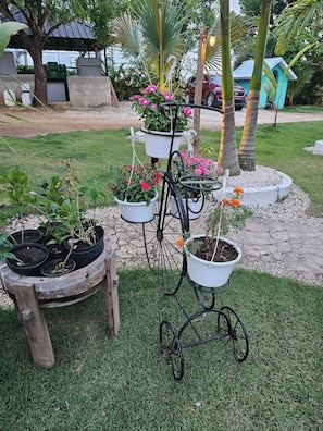 A garden with potted plants arranged on a bicycle wheel stand.