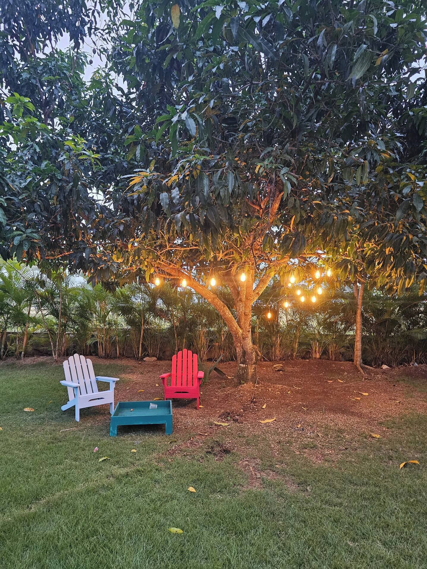 Un árbol con luces colgantes, dos sillas Adirondack y una mesita en un césped.