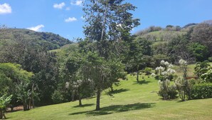 A grassy landscape with trees and hills in the background. - Villa and Casita (Tronadora)