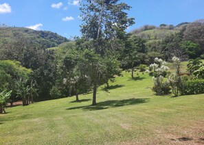 A grassy landscape with trees and hills in the background. - Villa and Casita (Tronadora)