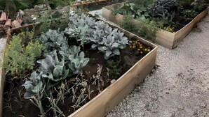 A garden with raised beds, a stone wall, and a traditional building with a tiled roof. - Double Diamond Room with 2 Beds, Interior Patio, and Wi-Fi (Porqueirós)