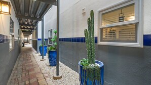 A corridor with a covered walkway, potted plants, a window, and a door. - 201-4thStreet-207 (Austin)