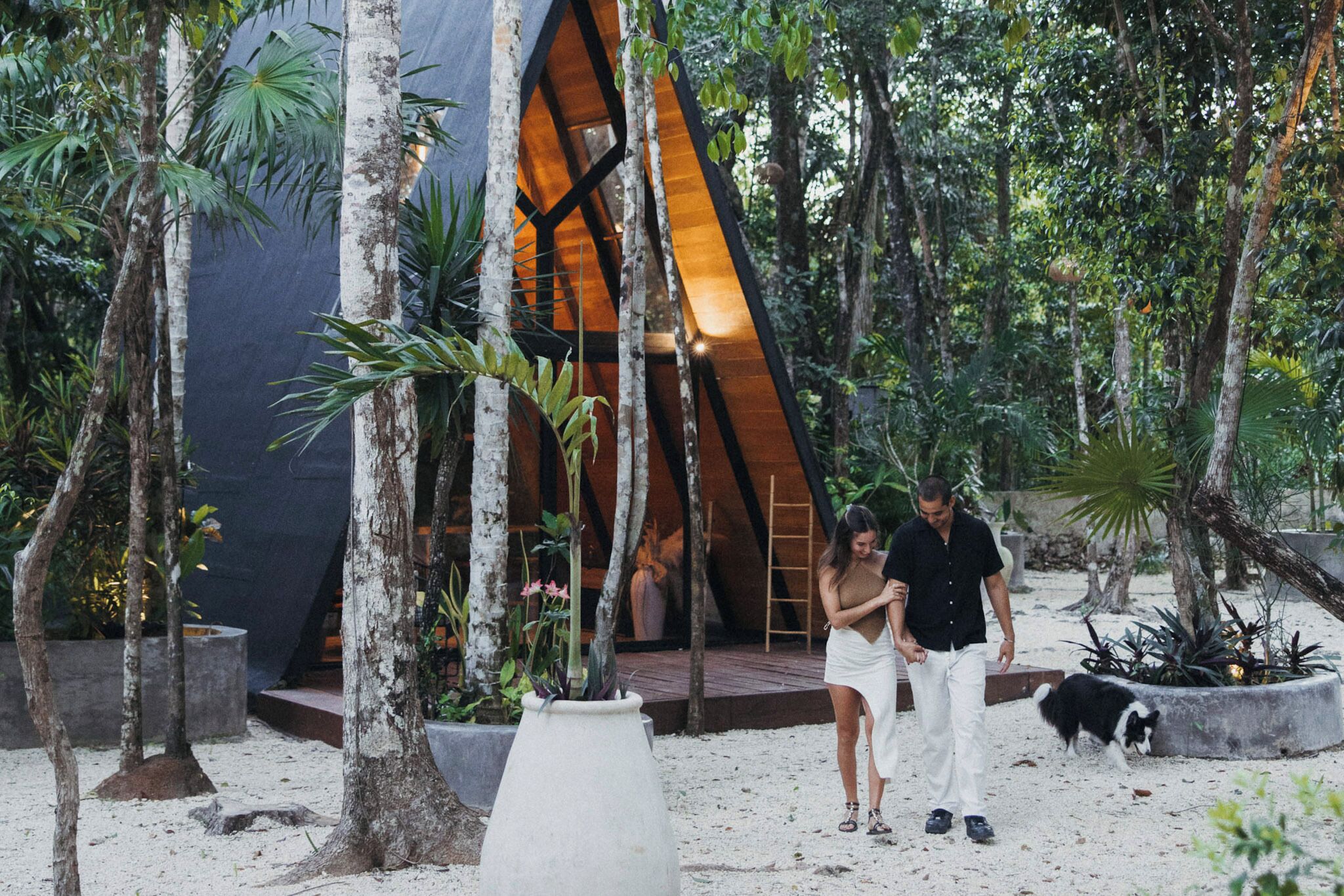 A modern, triangular-roofed structure surrounded by trees and plants, with a sandy ground.