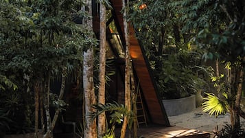 A wooden deck surrounded by dense foliage, leading to a dark interior space.