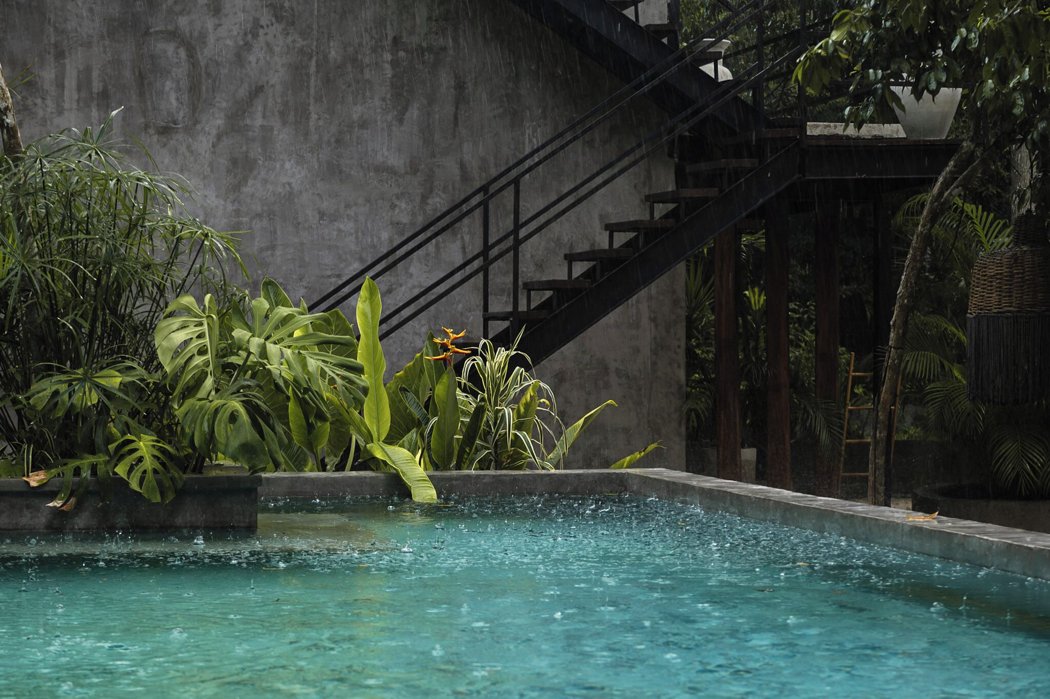 Udendørs pool
