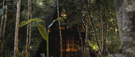 Un jardin tropical agrémenté d’une structure en bois, entouré de diverses plantes et arbres.