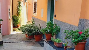 Un stretto vicolo con una fila di piante in vasi sul lato destro e un edificio con una porta verde sul lato sinistro.