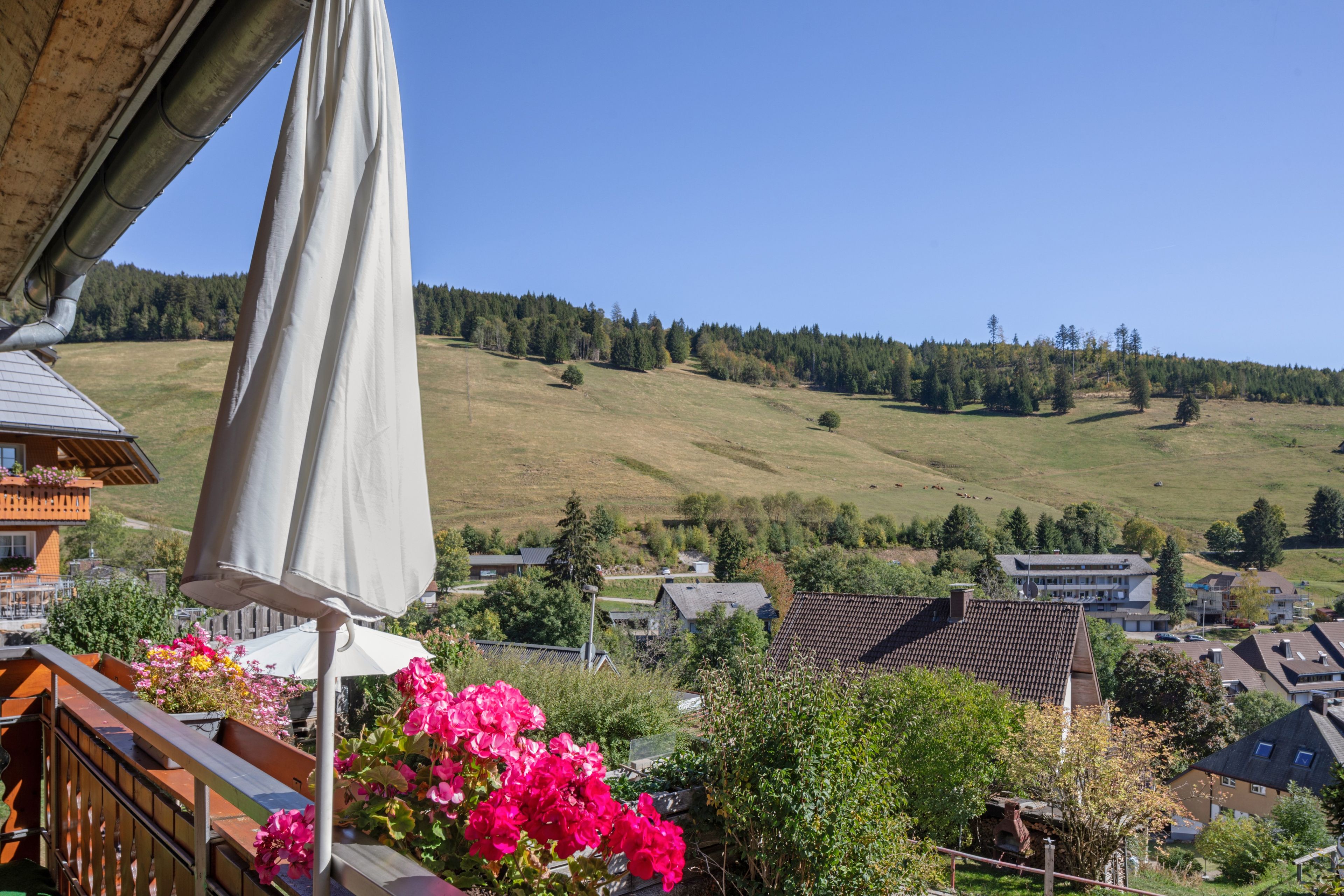 A residential area with houses, a clear sky, and a hilly landscape in the background.