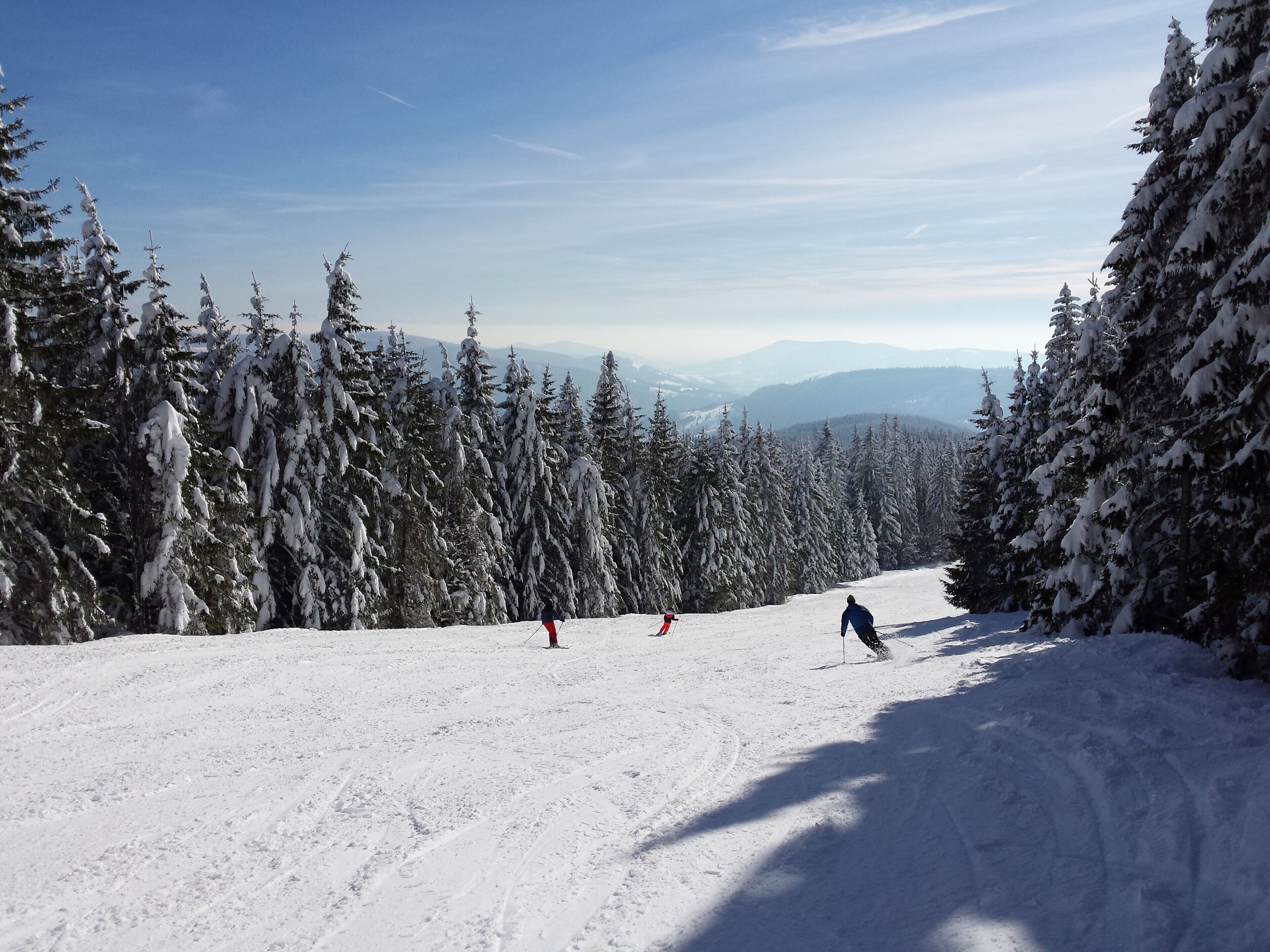 Une piste de ski enneigée, bordée d’arbres de chaque côté, sous un ciel dégagé.