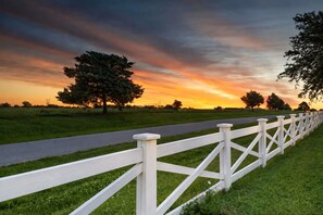 A white wooden fence along a paved path in a grassy field with trees in the background during sunset. - 11 Luxury Acres Retreat, Pool, Fishing, Sleeps 14-24 (Mabank)